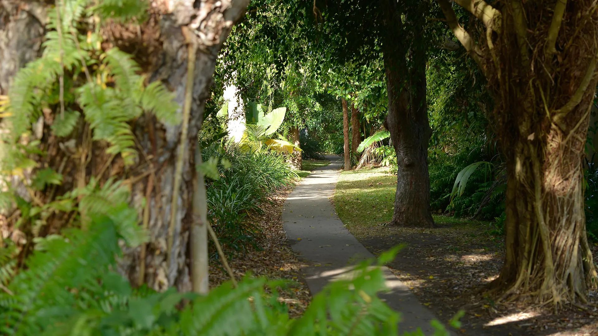 Mantra Portsea Hotel Port Douglas